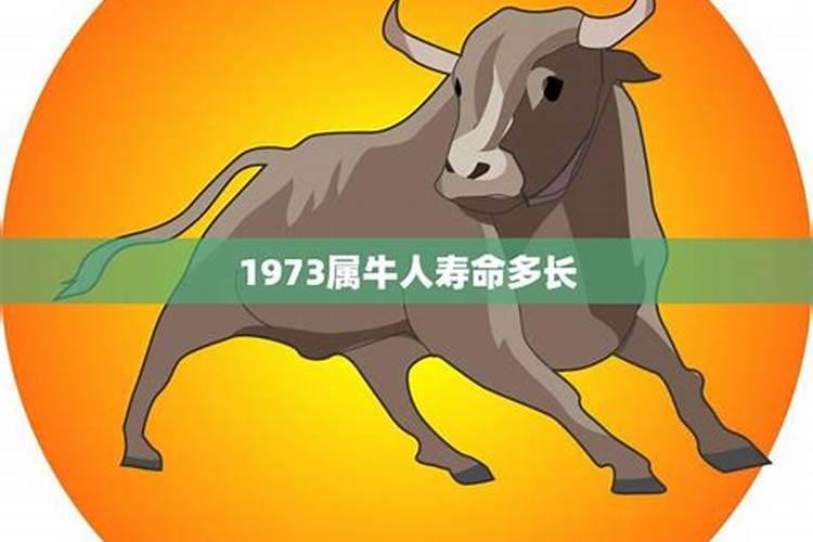 属牛今年的运势-属牛今年的运势怎么样2023